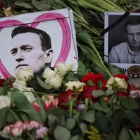 Navalny: ma vuoi vedere che non è stato Putin?